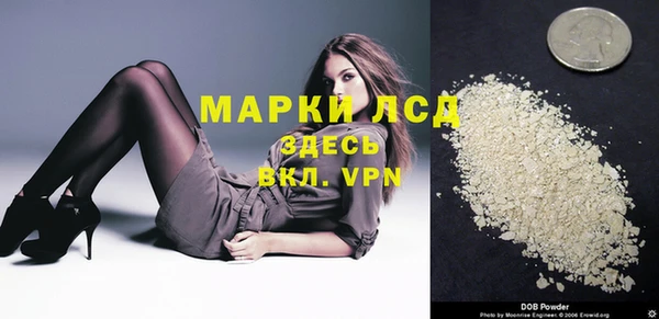 спайс Баксан