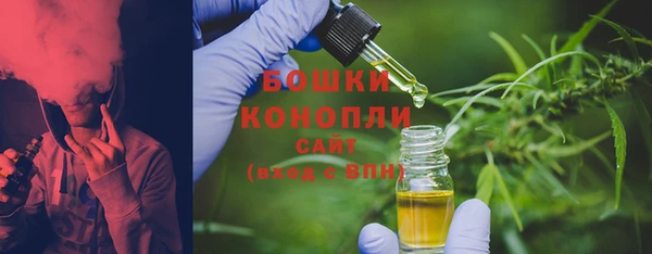 спайс Баксан