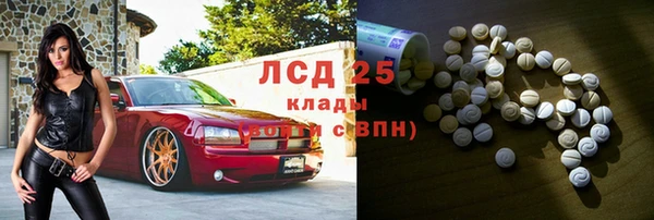 спайс Баксан