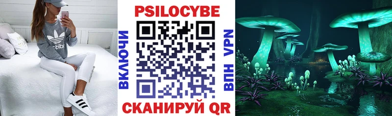 Псилоцибиновые грибы ЛСД  Балей 